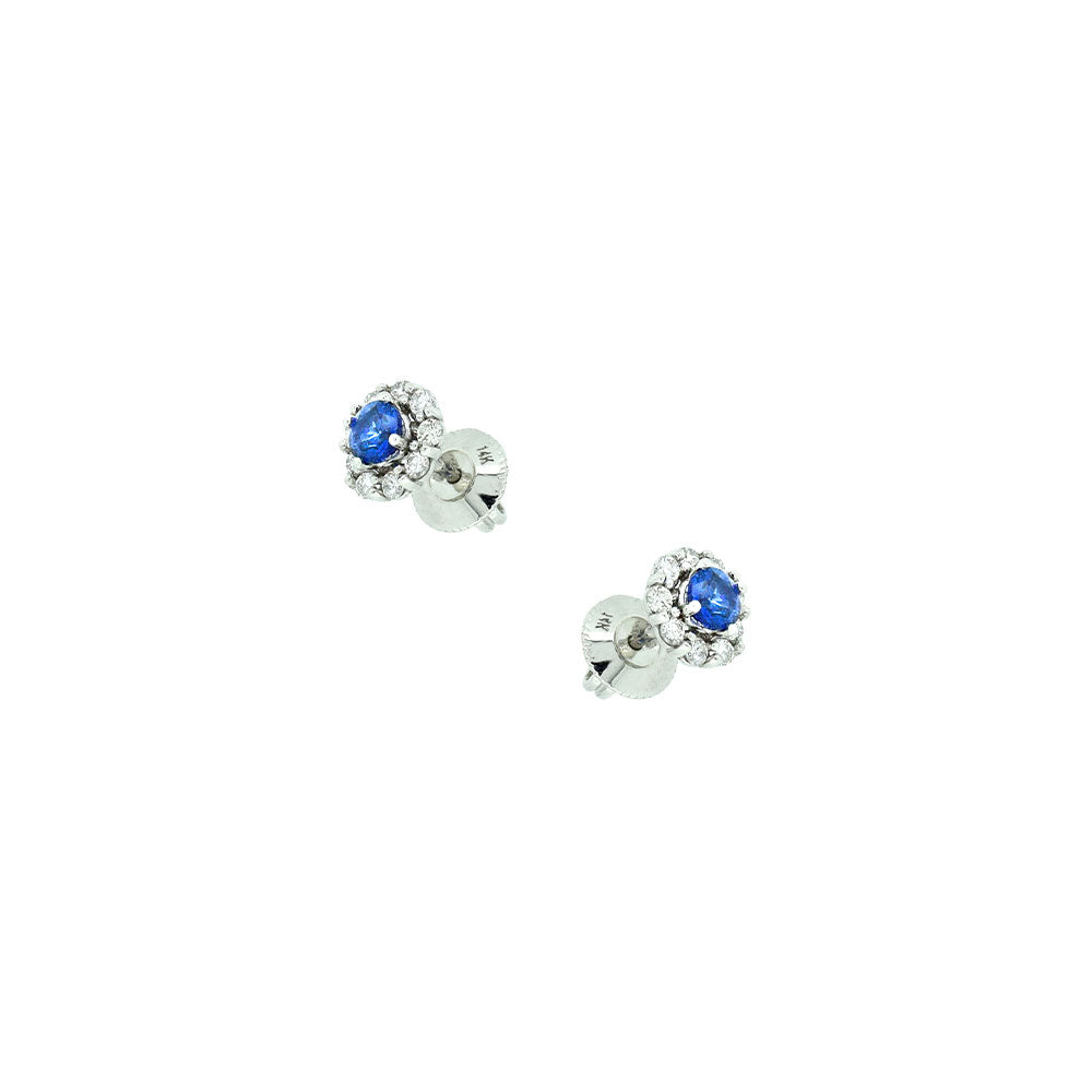 14 Karat White Gold Sapphire Earrings with Diamond Halo