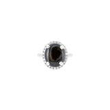 14 Karat White Gold Ring with Star Sapphire and Diamond Halo